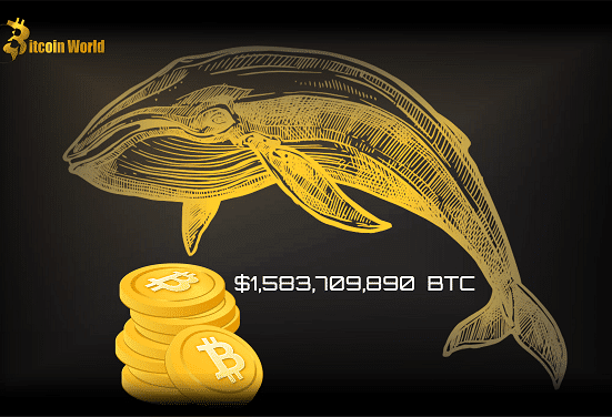 btc whale