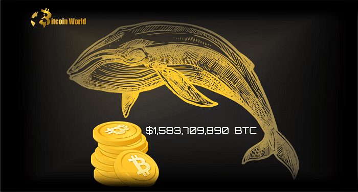 btc whale