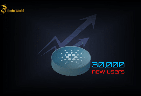 cardano ri