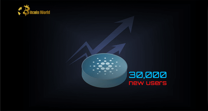 cardano ri
