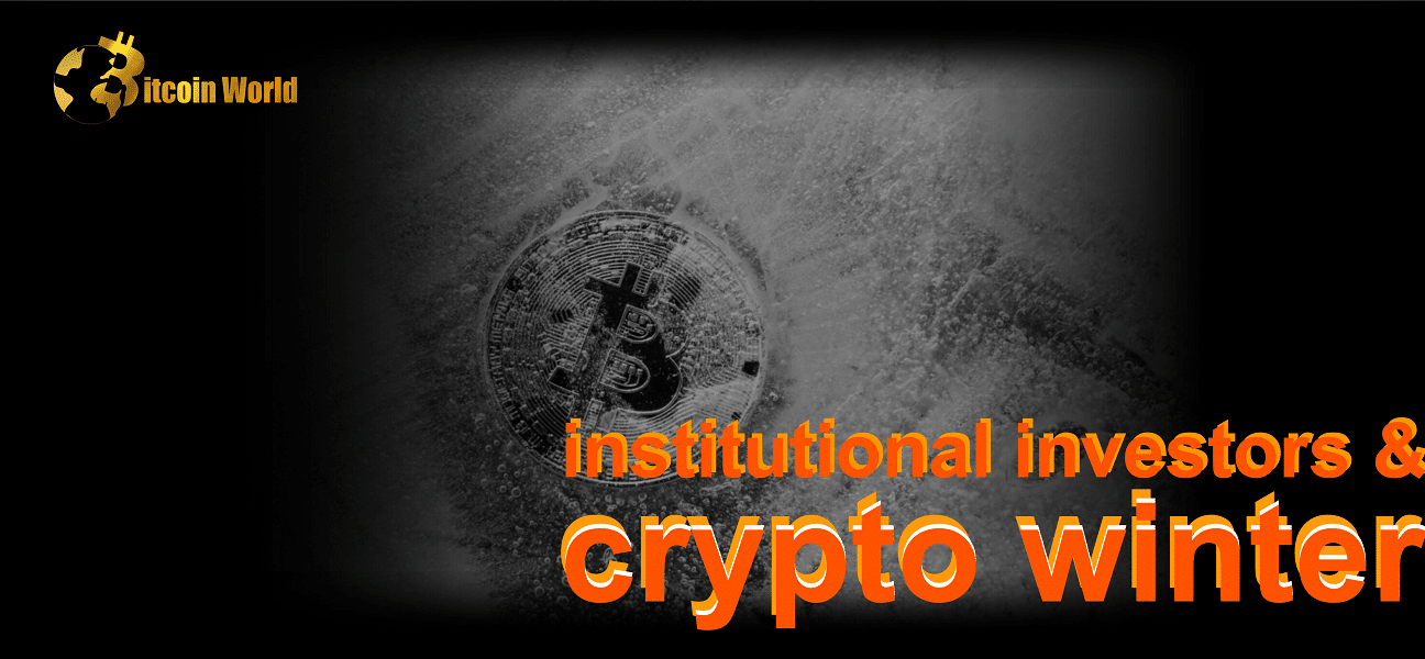 crypto winter