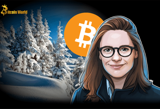crypto wnter