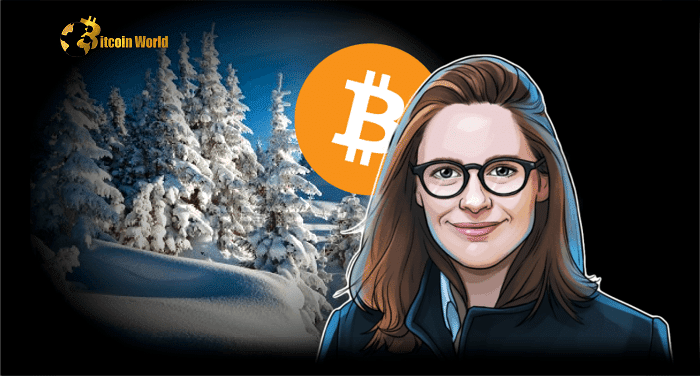 crypto wnter
