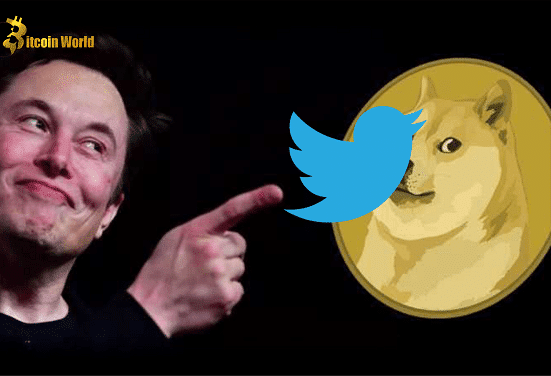 doge on twitter
