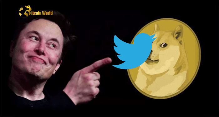 doge on twitter