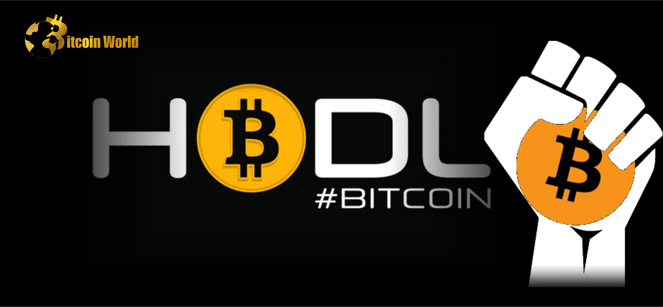 hodl Bitcoin