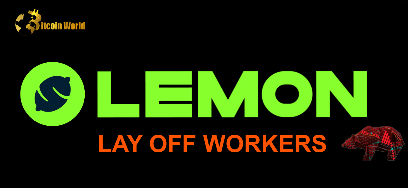 lemon lay off