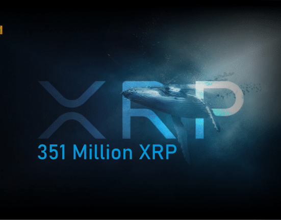 xrp whale