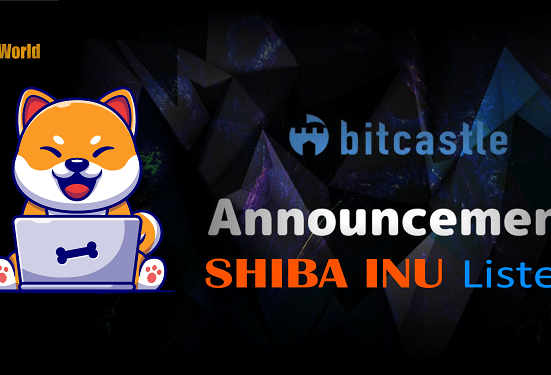 Bitcastle Crypto Exchange Lists Shiba Inu (SHIB)