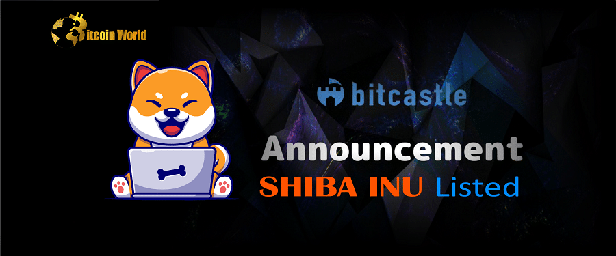 Bitcastle Crypto Exchange Lists Shiba Inu (SHIB)