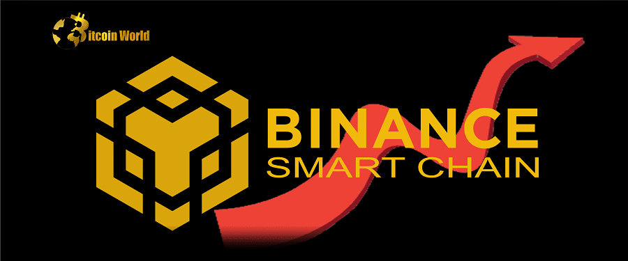 BNB Chain Hits a Big Milestone for dApps, Will this Help BNB's Next Rally?