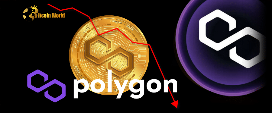 Polygon Network Growth Slumps, Where Will MATIC Price Go? 