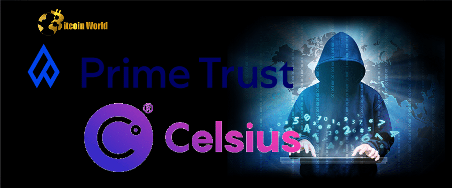 As scammers Target Customers, Prime Trust Provides Funding to Celsius