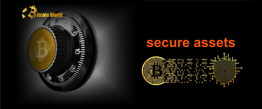 secure asset