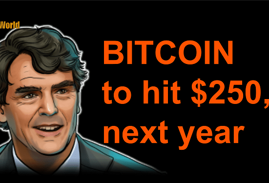 Draper Predicts that Bitcoin will Hit $250,000 Despites FTX's Fall