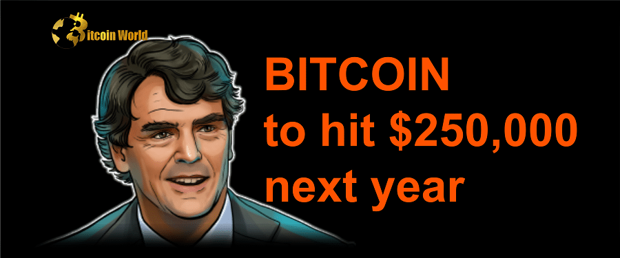 Draper Predicts that Bitcoin will Hit $250,000 Despites FTX's Fall