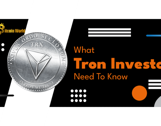 Here's What Investors in TRX Need to Know About Tron's Future