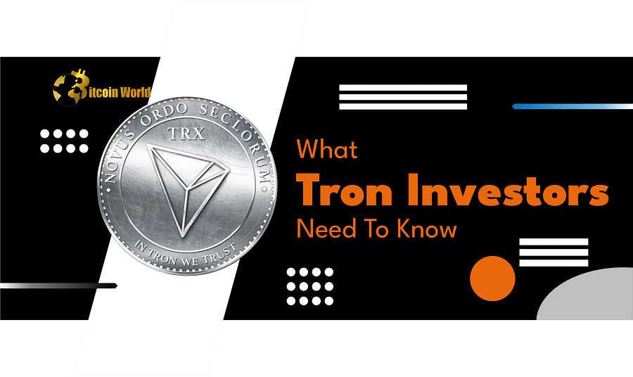 Here's What Investors in TRX Need to Know About Tron's Future