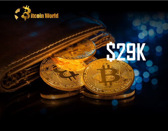29k btc