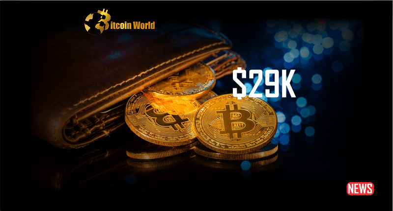 29k btc