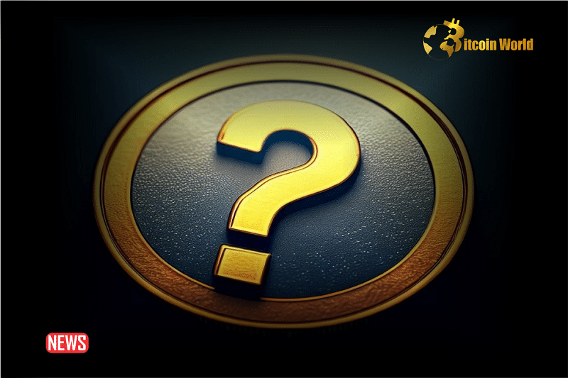 Top 3 Altcoins To Boost Your Cryptocurrency Portfolio In 2024