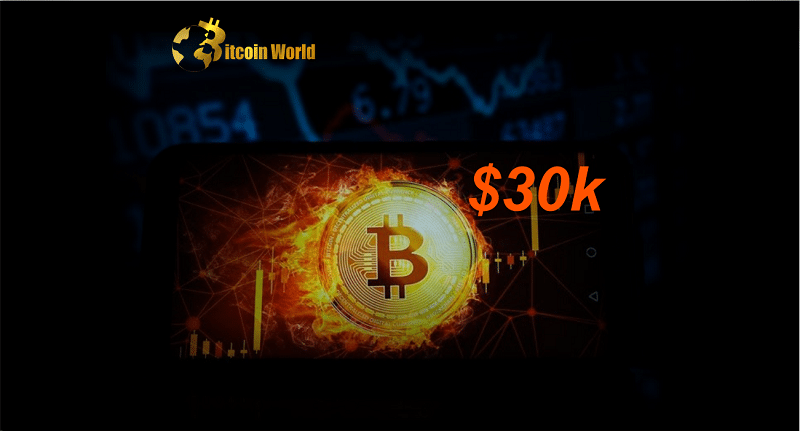 Bitcoin Price Smashes Through $30,000 Hitting 10-Month High
