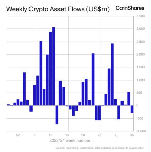 Digital asset investment products 