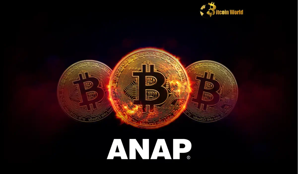 ANAP Bitcoin Holdings Japanese Fashion Brand Embraces Corporate Treasury Trend with Bold Investment