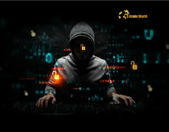 Bitcoin Seizure Australia: AFP Issues Warning After Seizing 25 BTC from Decade-Old Crypto Hack