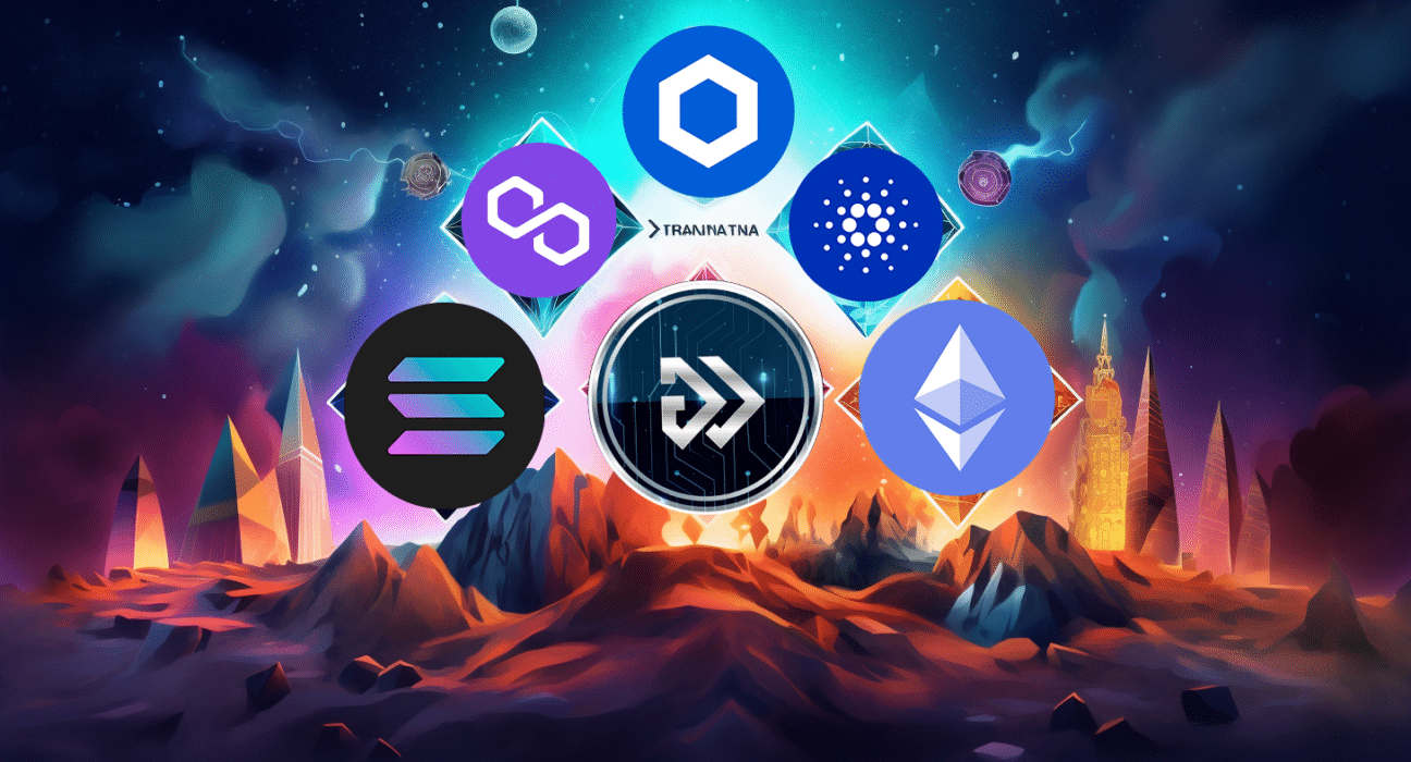 Algotech 7