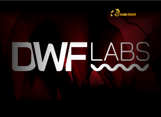Altcoin Investment: DWF Labs Proposes Revolutionary Bridge to Traditional Finance