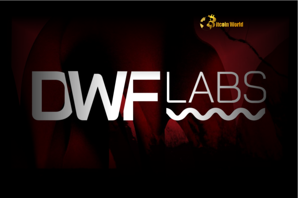 Altcoin Investment: DWF Labs Proposes Revolutionary Bridge to Traditional Finance