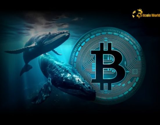 Bitcoin Whale Activity Surges as BTC Hits $109K, Signaling Bullish Momentum
