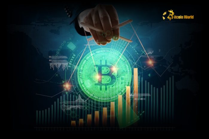 Big Investors Drive Bitcoin Surge Post-US Presidential Election