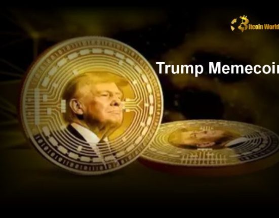TRUMP memecoin earnings and market impact