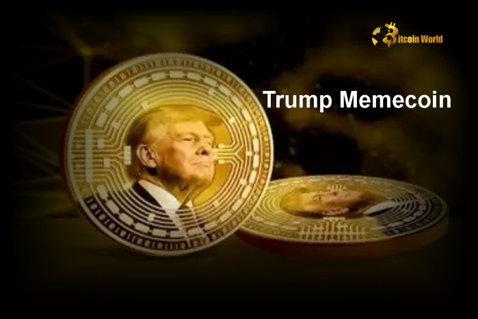 TRUMP memecoin earnings and market impact