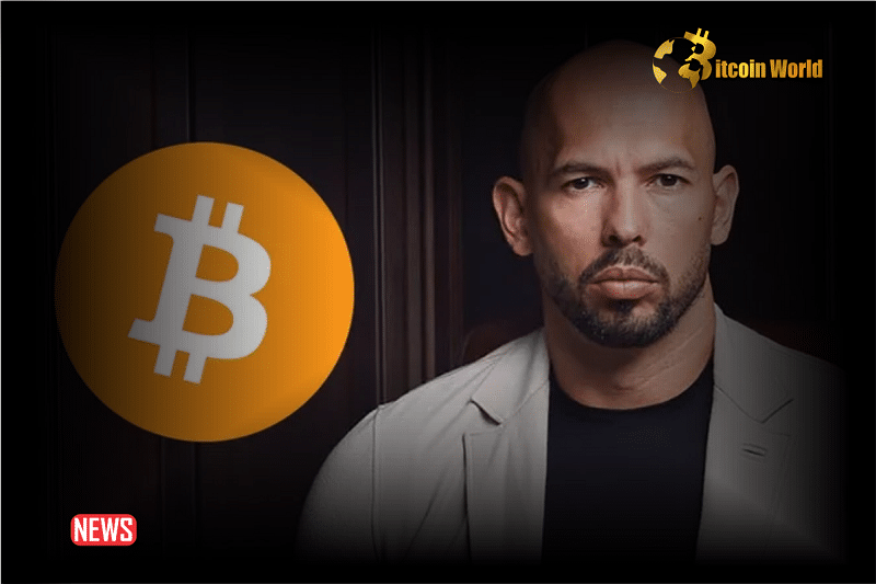 Bitcoin Is An Opportunity You Shouldn't Miss: Andrew Tate To Crypto Investors