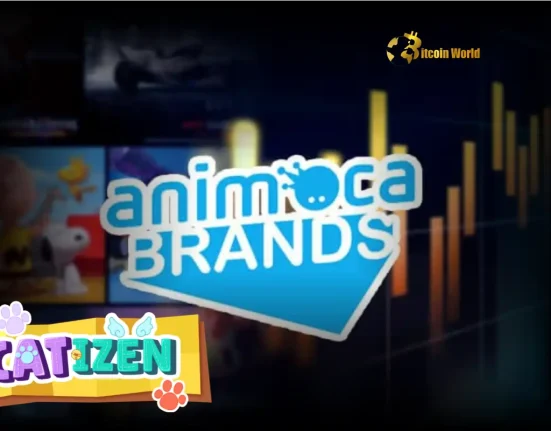 Animoca Brands Makes Pivotal Investment in Catizen Powering Web3 Games
