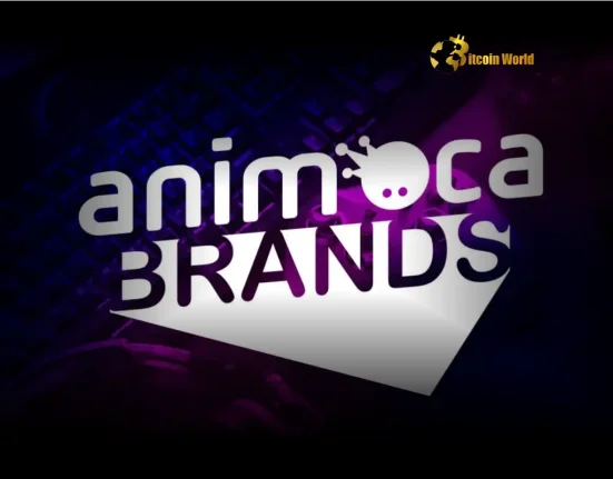 Animoca Brands Middle East Unleashing Exciting Web3 Opportunities in Dubai