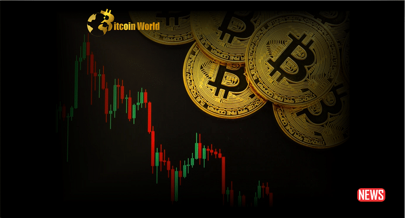 Arkham denies buggy Mt. Gox alerts