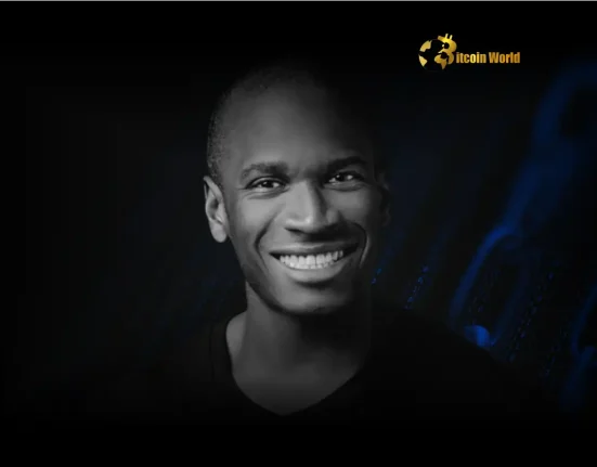 Arthur Hayes Delivers Brutal Reality Check on Revenue-less Crypto Projects