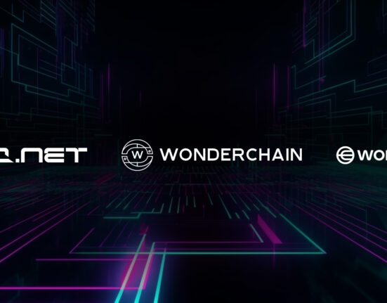 Top 3 Projects Leading Web3 Innovation in 2025 – WonderChain · io.net · World