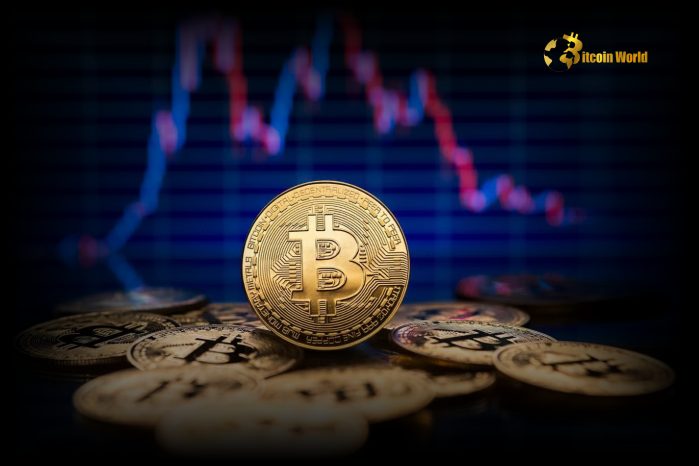 Astonishing Bitcoin Exchange Outflows: 8,826 BTC Withdrawn in One Hour - Bullish Sign?