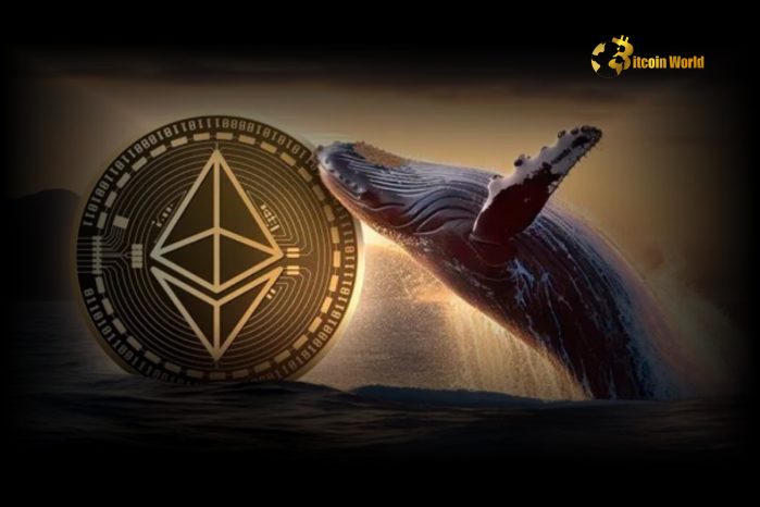 Astute Ethereum Whale ‘7 Siblings’ Seizes Market Dip, Amasses Massive 12,070 ETH