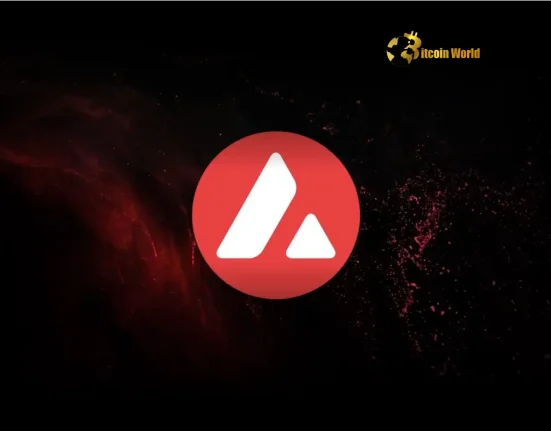 Avalanche Codebase Powering the Next Wave of Web3 Innovation