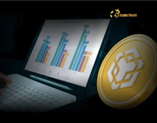 BNB Chain Sees Explosive Growth: Active Addresses Double to 2M