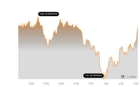 BONK Price Chart 11