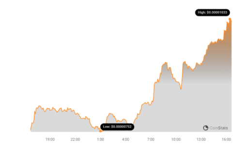 BONK Memecoin Rockets to All-Time High: Is the Solana-Based Dog Coin the Next Big Thing? BONK Price Chart