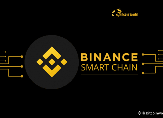 BSC Foundation Boosts Ecosystem with Strategic Crypto Purchase