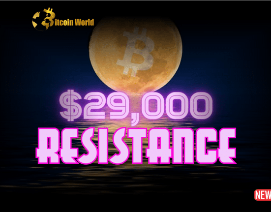 BTC 29000